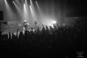 Read more about the article NILE