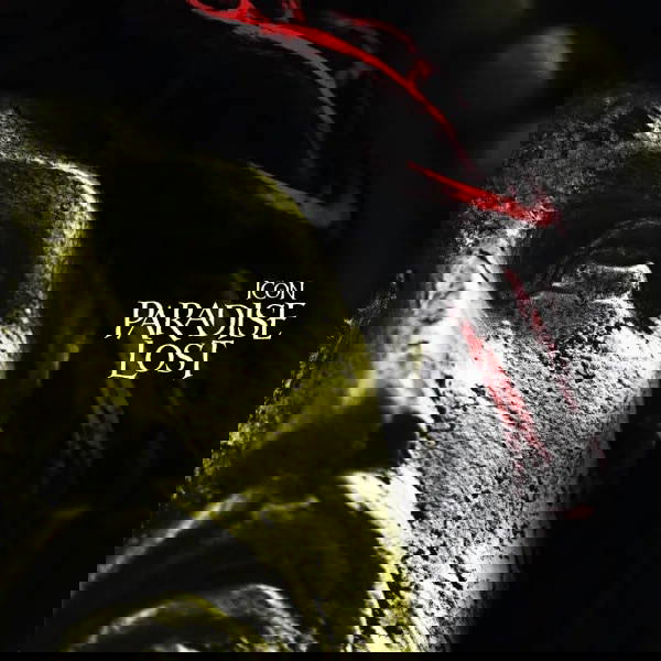 You are currently viewing PARADISE LOST – “Widow” single re-recorder 2023(video)