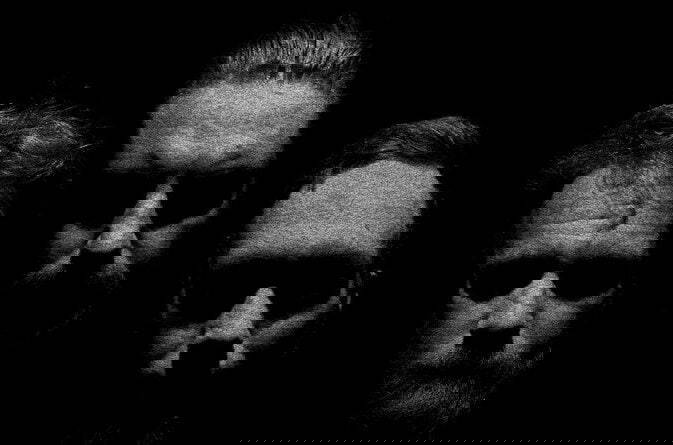 You are currently viewing Finnish Blackened Death Metallers Saasta announce the release of a new EP and present a new single