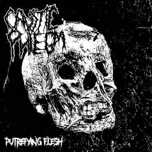 Read more about the article Οι Death metallers CAUSTIC PHLEGM κυκλοφορούν το ντεμπούτο demo τους “Putrefying Flesh”