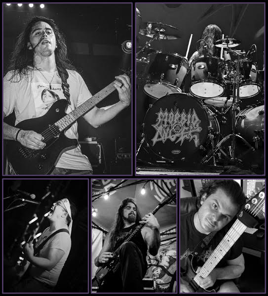 You are currently viewing HEMOTOXIN – “When Time Becomes Loss” νέο άλμπουμ μέσω της Pulverised Records και νέο single