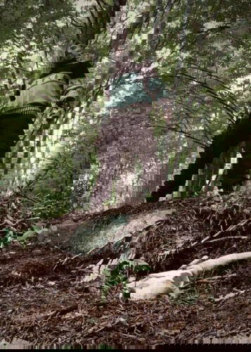 Read more about the article Οι FÖRGJORD ορίζουν ημερομηνία κυκλοφορίας για το νέο άλμπουμ που θα κυκλοφορήσει μέσω της WEREWOLF και  αποκαλύπτουν εξώφυλλο & tracklist