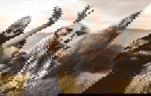 Read more about the article Οι Eihwar ανεβάζουν το πλήρες άλμπουμ τους πριν από την κυκλοφορία!