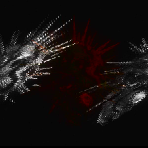 Read more about the article Bleed from Within: “Zenith” album review