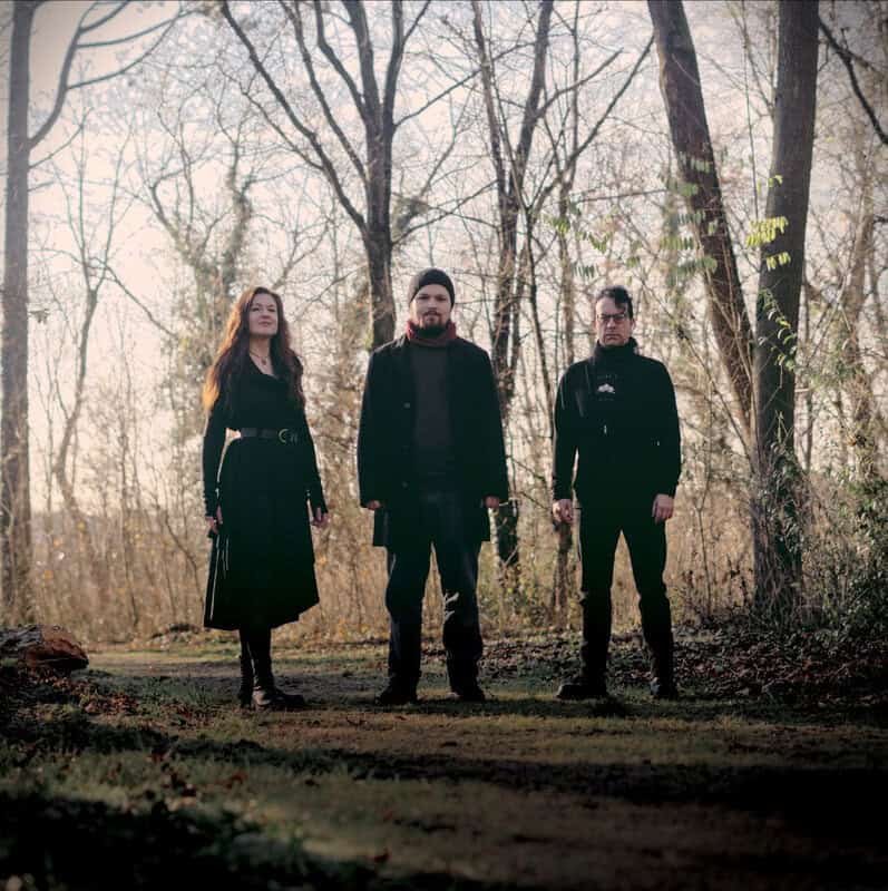 You are currently viewing Ephemeral flies with “Skylarks” in new video