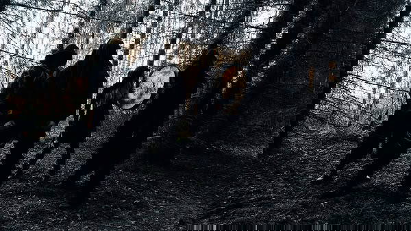 Read more about the article Η φινλανδική Pagan Metal μπάντα KAAMOS WARRIORS ετοιμάζεται να κυκλοφορήσει το πέμπτο της άλμπουμ – Το επίσημο βίντεο για το πρώτο single “Seita” διαθέσιμο τώρα!