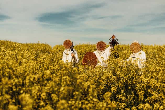 Read more about the article Οι Ελβετοί black metallers VÍGLJÓS κυκλοφορούν νέο βίντεο για το κομμάτι “A Seed of Aberration”!