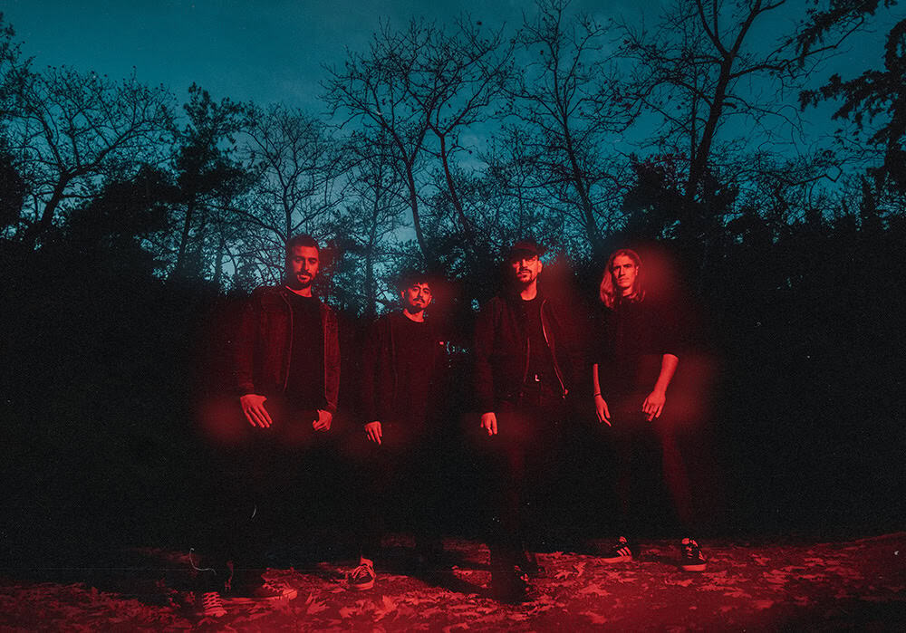 You are currently viewing ORIA Unveil Animated Video for “Pirates, Parrots and Parasites”