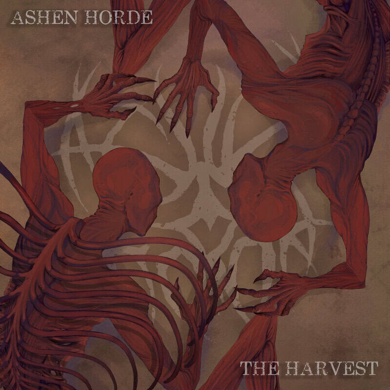 Album cover art for Ashen Horde: two red, sinewy humanoids reach toward each other on a textured brown background, with 'ASHEN HORDE' top-left and 'THE HARVEST' bottom-right.