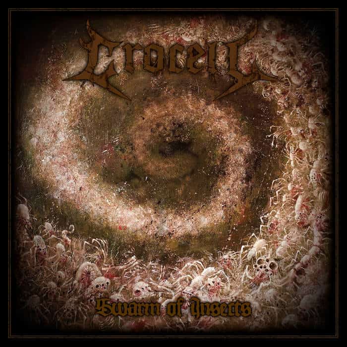 Album cover for 'Swarm of Insects' featuring a dark spiral vortex surrounded by pale insects and skulls, with ornate brown band logo at top.