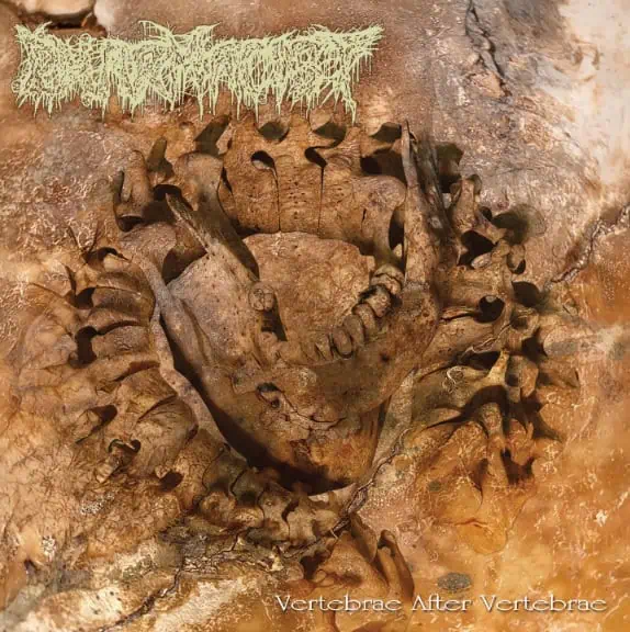 Fossil-like circular, segmented bone structure embedded in brown rock with a pale green band logo at the top and album title at the bottom.