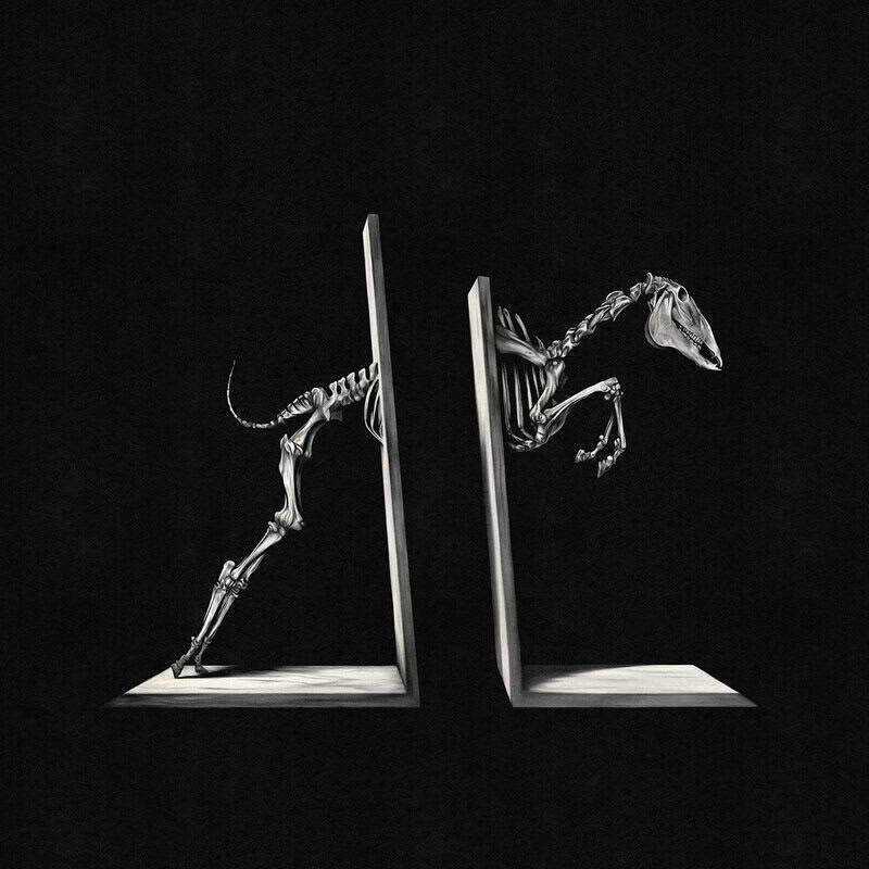 Skeleton of a theropod dinosaur breaking through two split panels against a black background, in grayscale art style.
