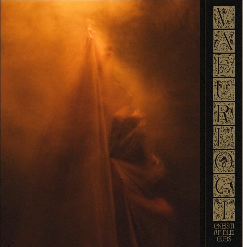 Book cover showing a shadowy figure behind a sheer orange curtain with a vertical ornate border on the right side and decorative panels at the edge of the page.